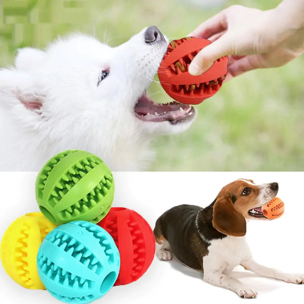 PawMelon 2-in-1 Dog Chew Toy-Dental Care Ball for Clean & Healthy Teeth