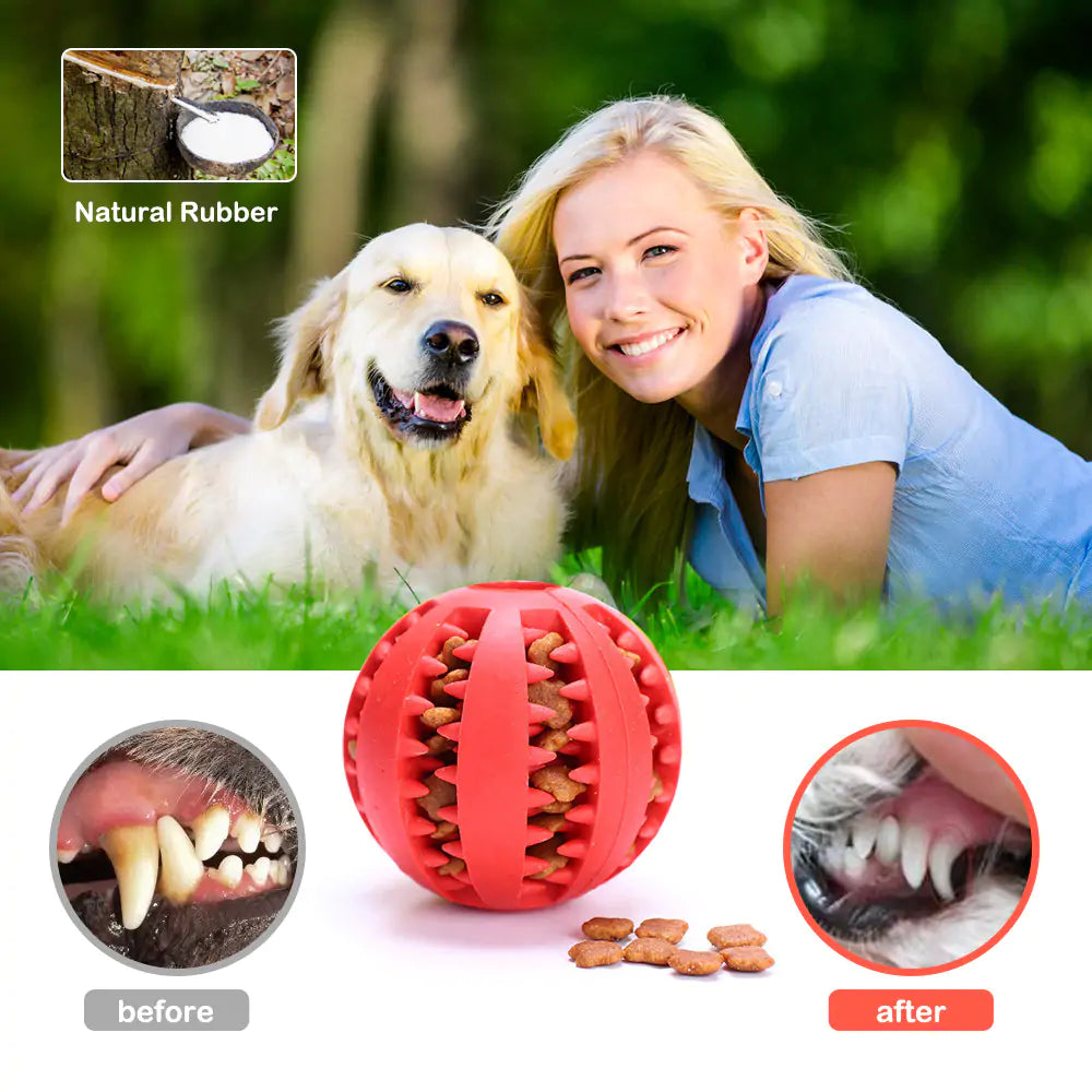 PawMelon 2-in-1 Dog Chew Toy-Dental Care Ball for Clean & Healthy Teeth